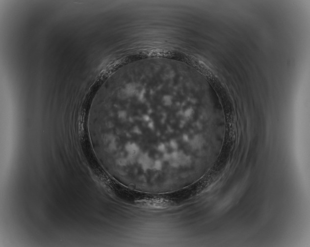 X0000087410695200705041248