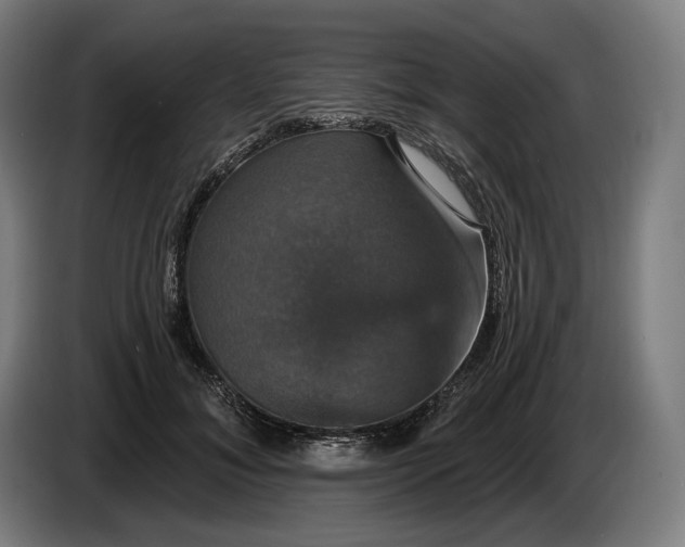 X0000087410700200705041248