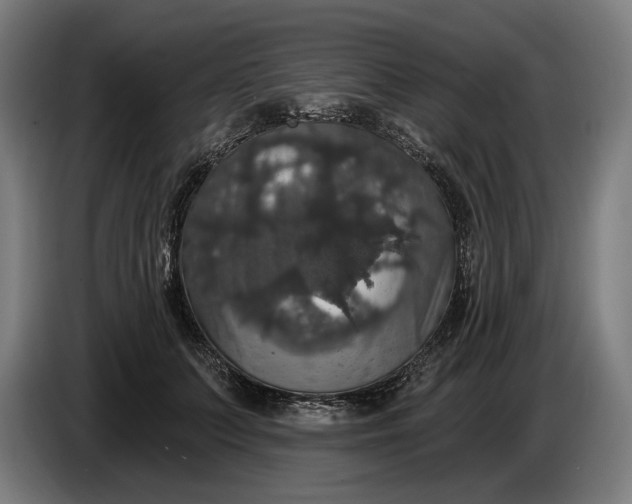 X0000087410703200705041248