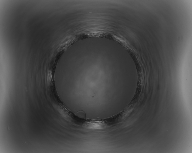 X0000087410711200705041248