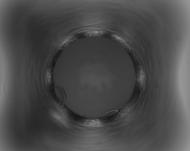 X0000087410715200705041248