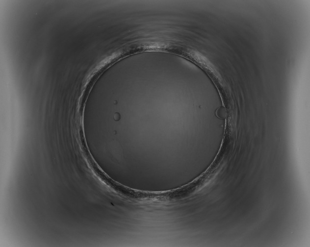 X0000087410721200705041247