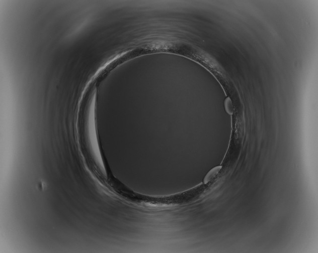 X0000087410722200705041247