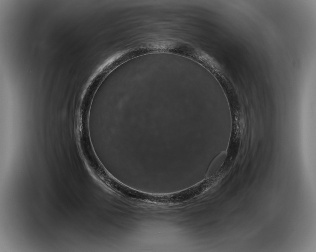 X0000087410726200705041247