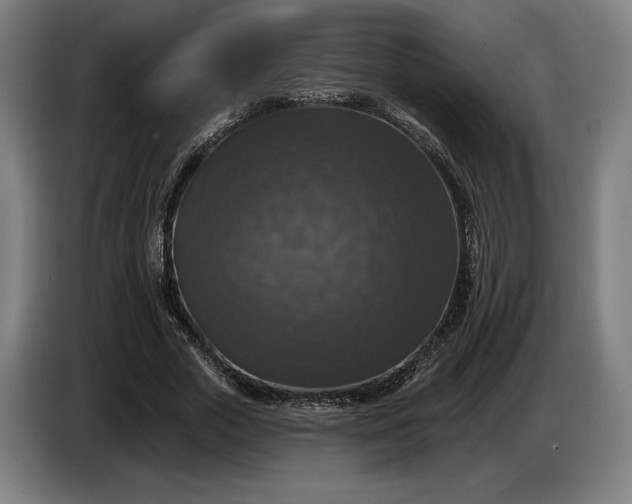 X0000087410729200705041247