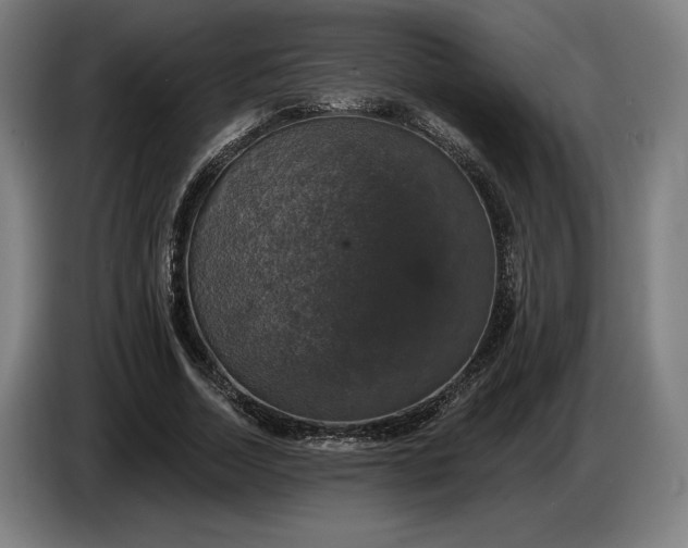 X0000087410730200705041247