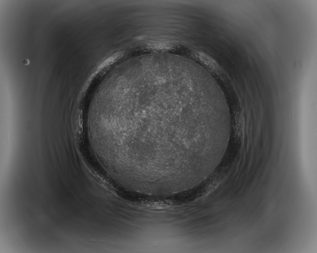 X0000087410731200705041247