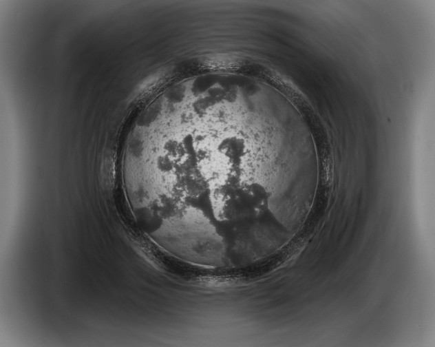 X0000087410733200705041247