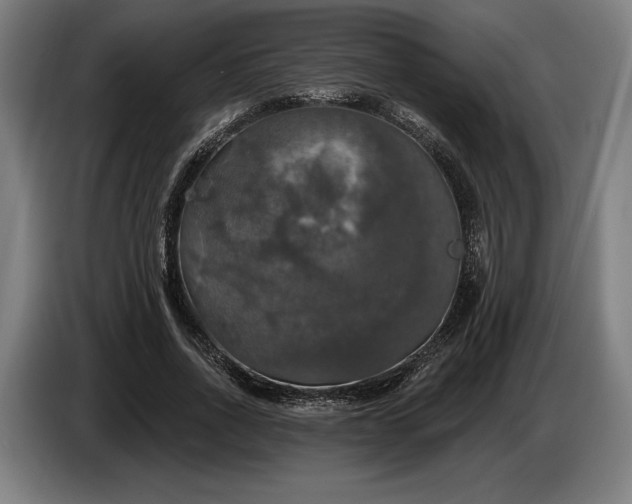 X0000087410734200705041247