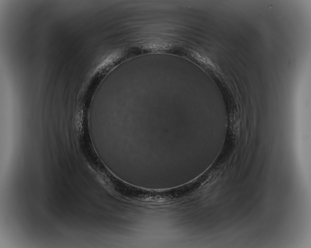 X0000087410735200705041247