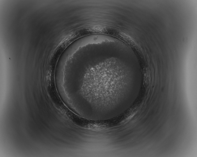 X0000087410739200705041247