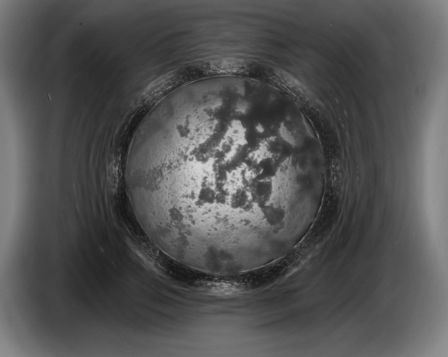 X0000087410741200705041247