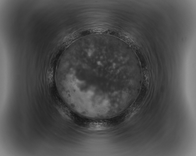 X0000087410745200705041247