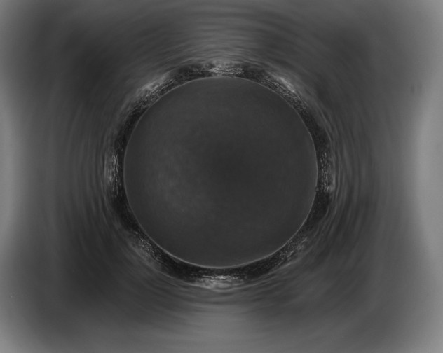 X0000087410748200705041247