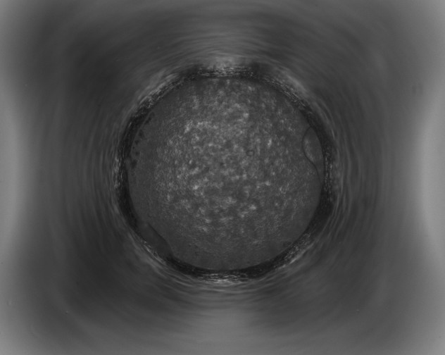 X0000087410750200705041247