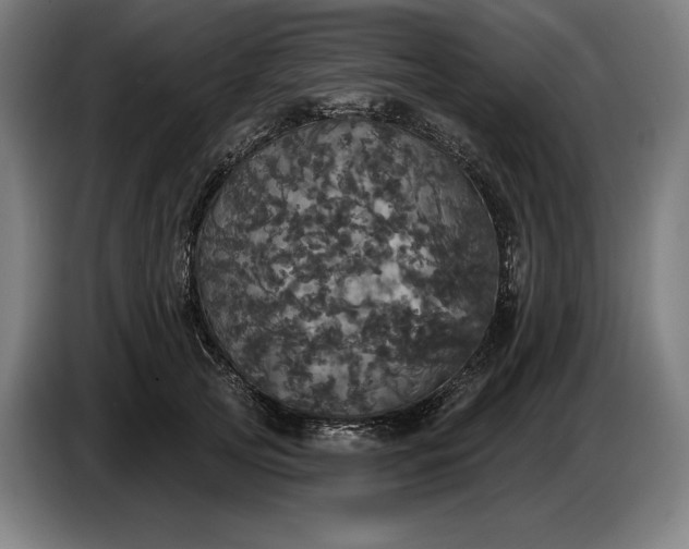 X0000087410753200705041247