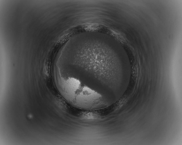 X0000087410755200705041247