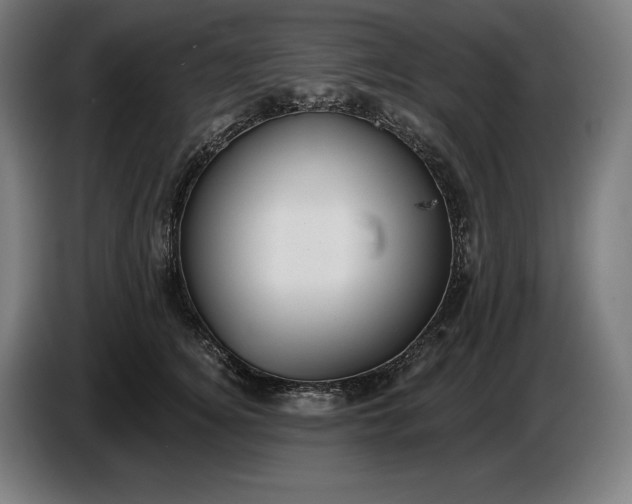 X0000087410756200705041248