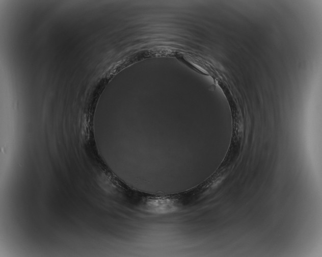 X0000087410759200705041248