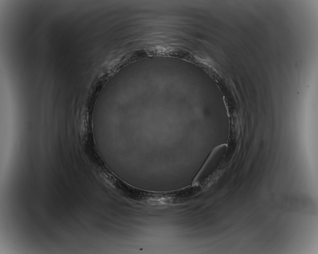 X0000087410760200705041248