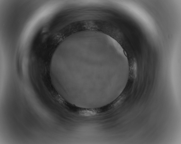 X0000087410765200705041248