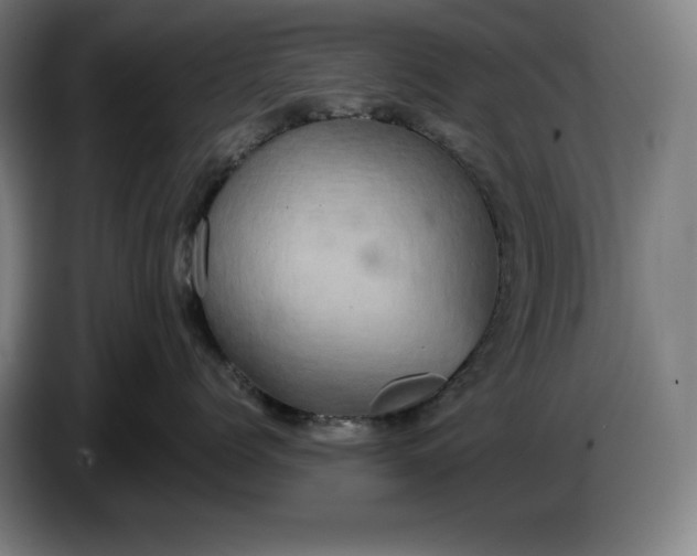 X0000087410768200705041248