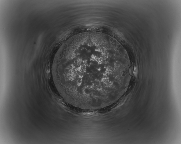 X0000087410771200705041247