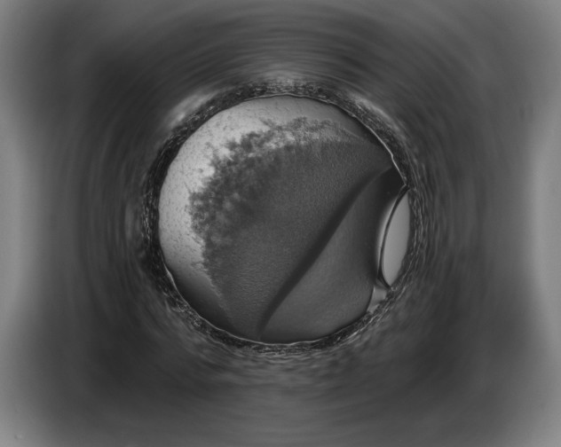 X0000087410776200705041247