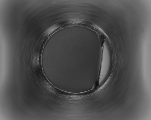 X0000087410777200705041247