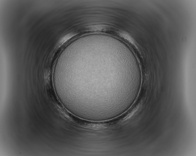 X0000087410778200705041247