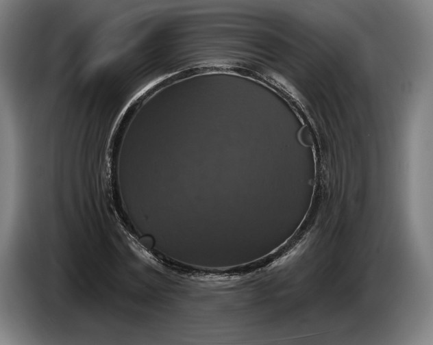 X0000087410779200705041247