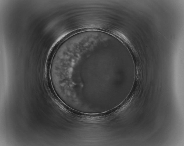 X0000087410780200705041247