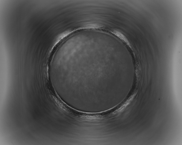 X0000087410781200705041247