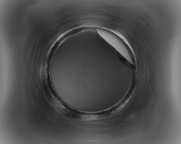 X0000087410783200705041247