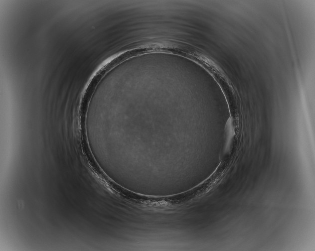 X0000087410784200705041247