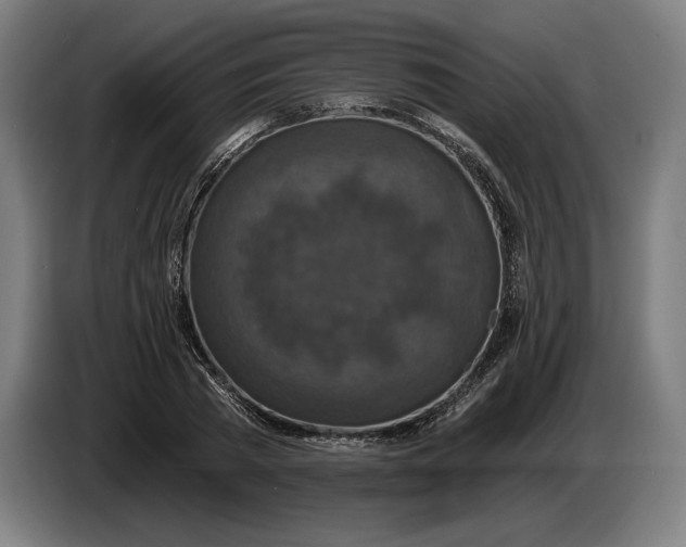 X0000087410785200705041247