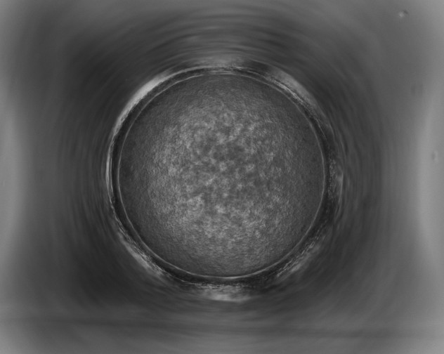 X0000087410788200705041247