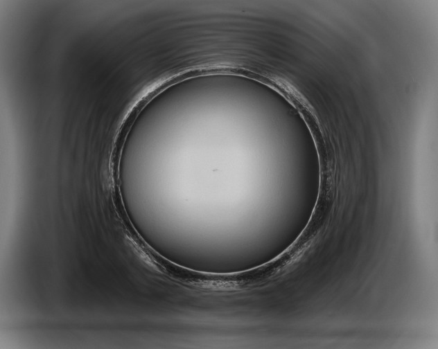 X0000087410789200705041247