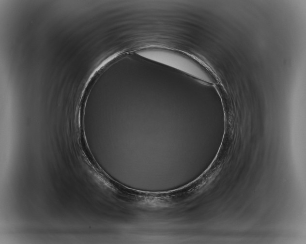 X0000087410790200705041247