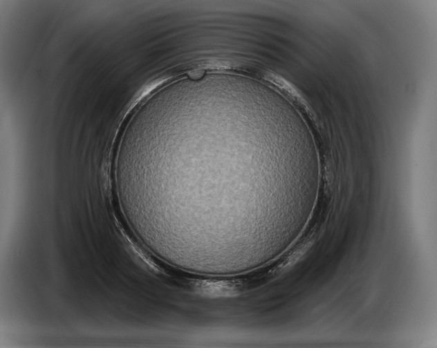 X0000087410794200705041247