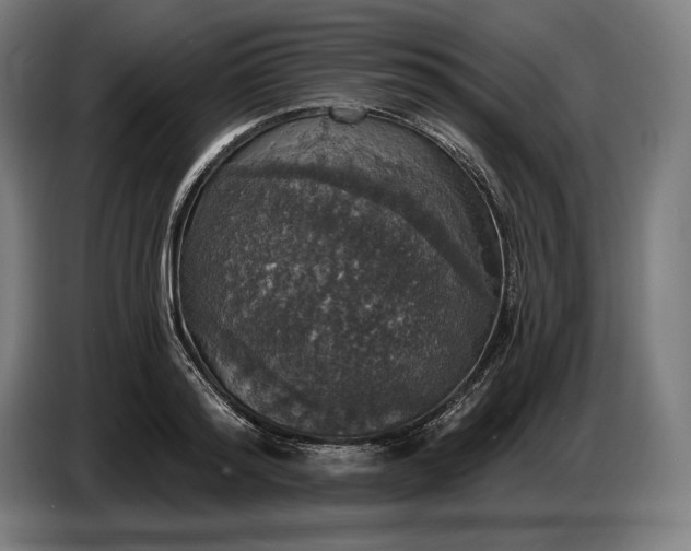 X0000087410796200705041247