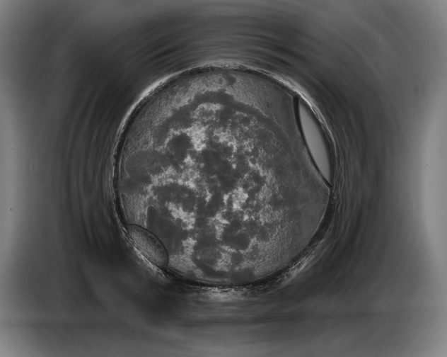 X0000087410799200705041247