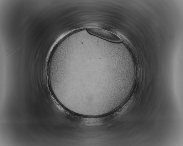 X0000087410800200705041247