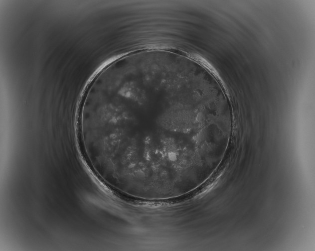 X0000087410803200705041247