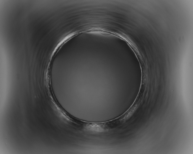 X0000087410806200705041247