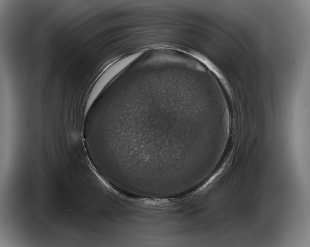 X0000087410809200705041247