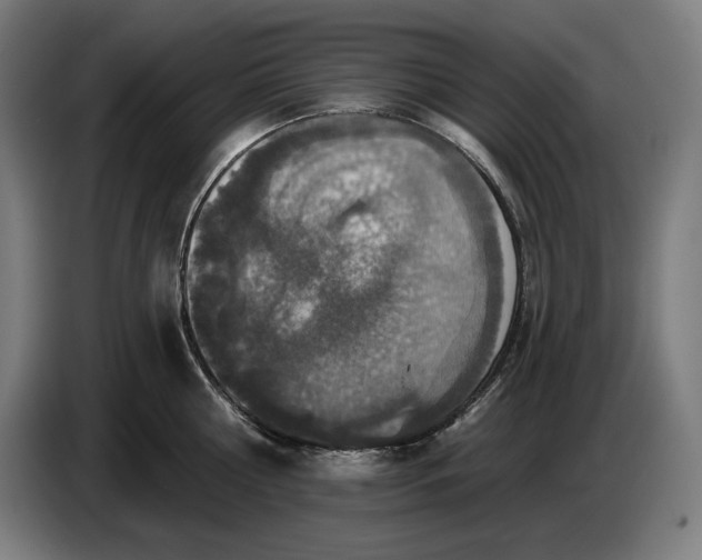 X0000087410810200705041247