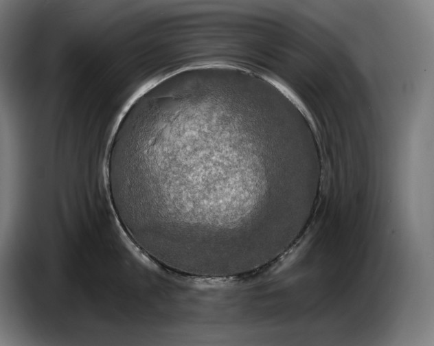 X0000087410813200705041246