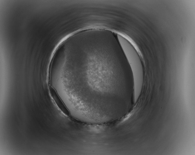 X0000087410815200705041246