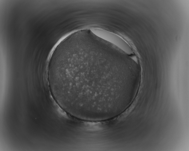 X0000087410816200705041246